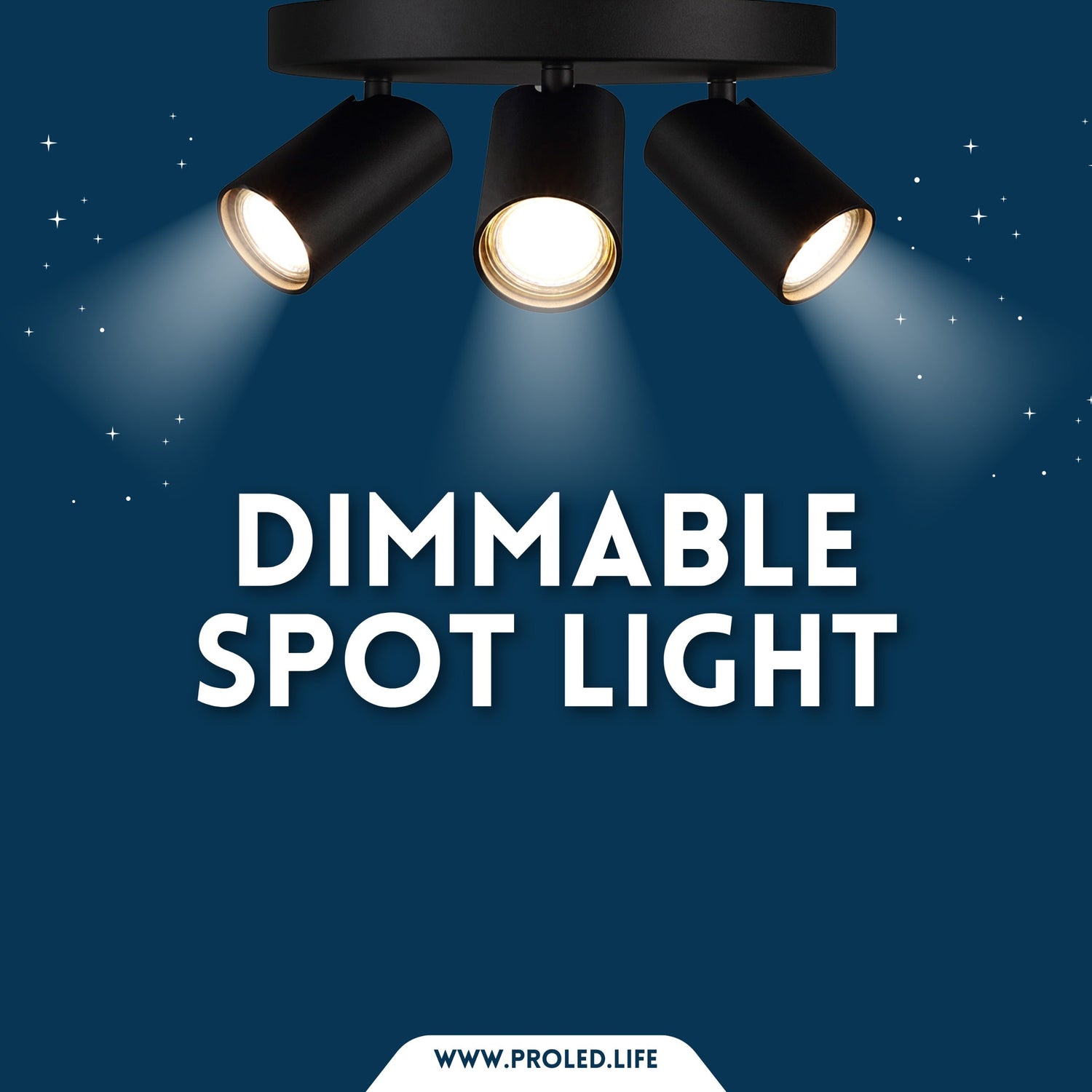 Dimmable Spot Light