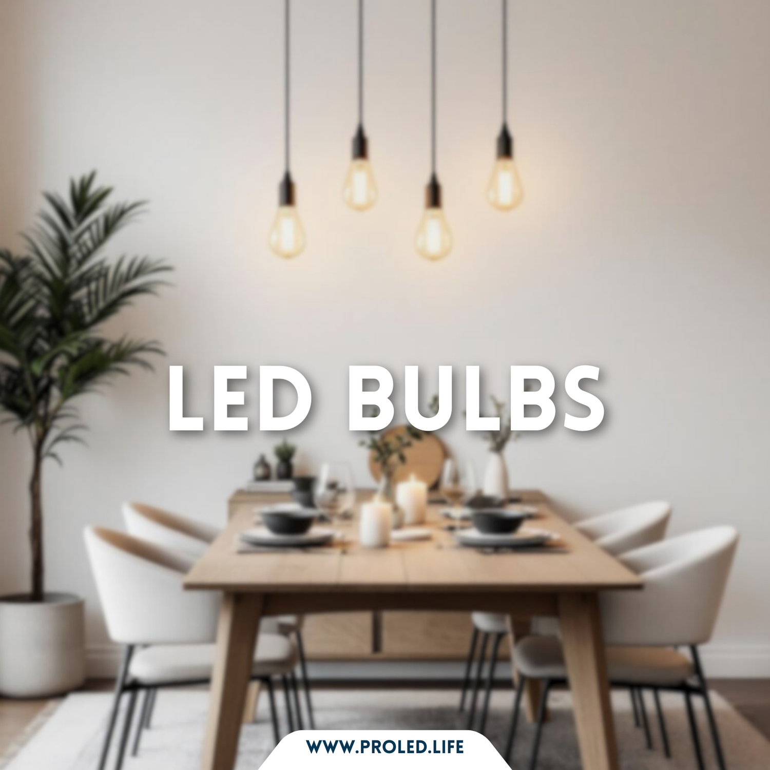 Indoor-Bulbs