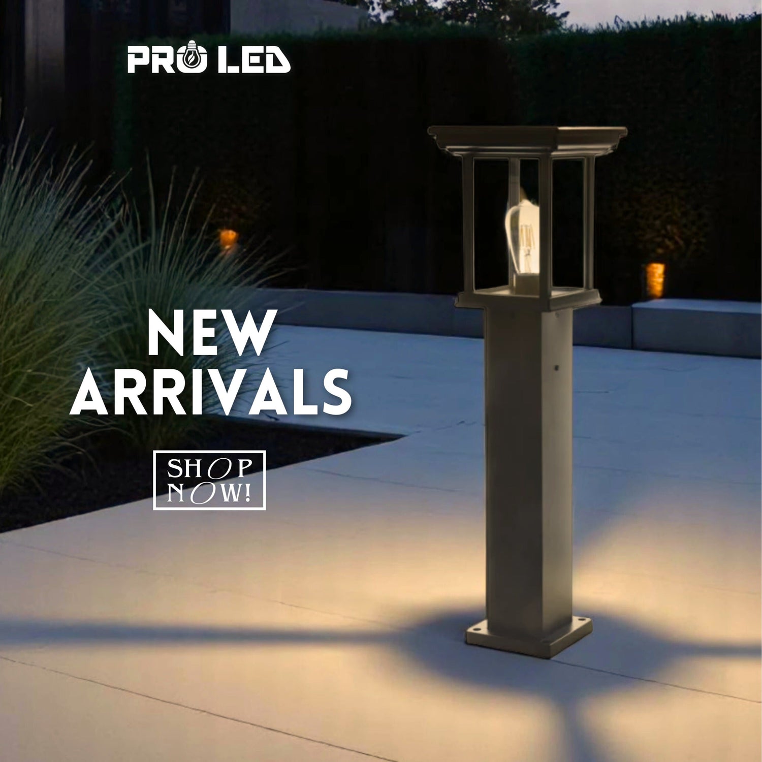 New Arrivals