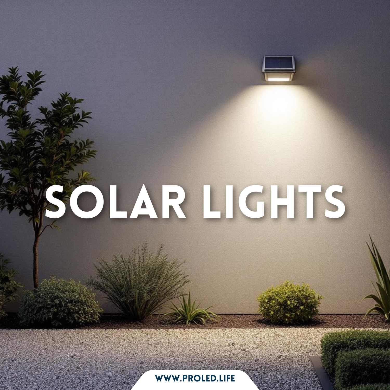 Outdoor-Solar Light