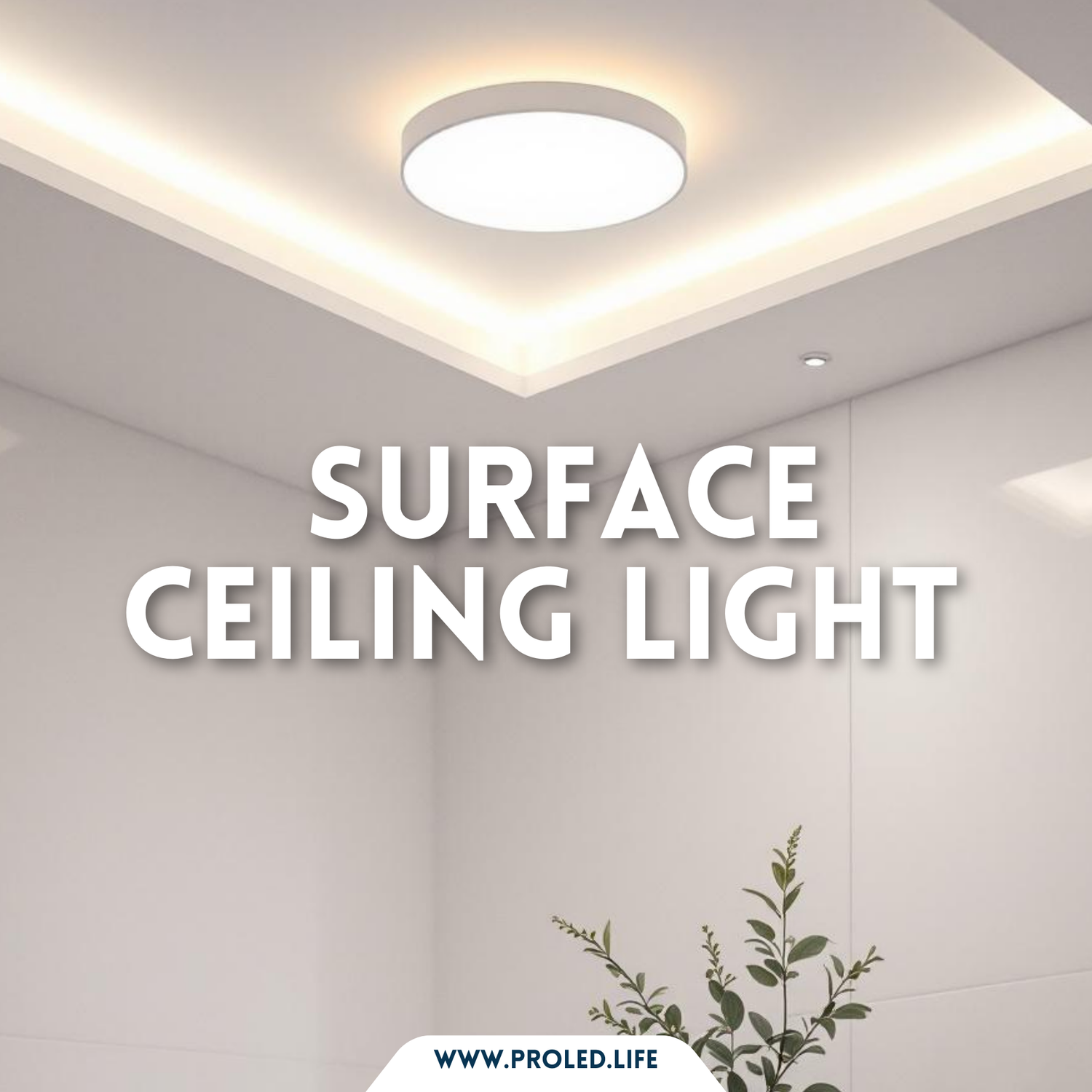 Indoor-Surface Light