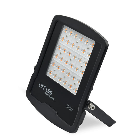 FLOOD LIGHT ROCK-2-100W