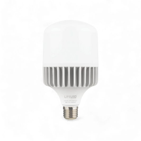 IND-LIFE-20W-WW