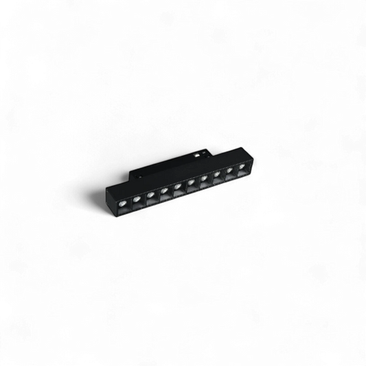LIFE-MG-LB10-SM