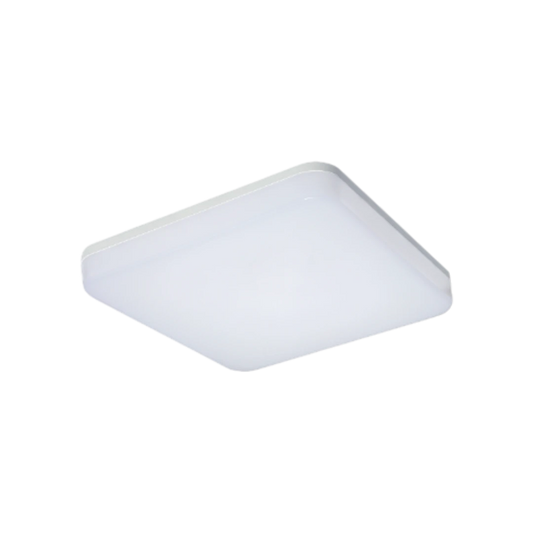 LIFE-SS-20W-CC