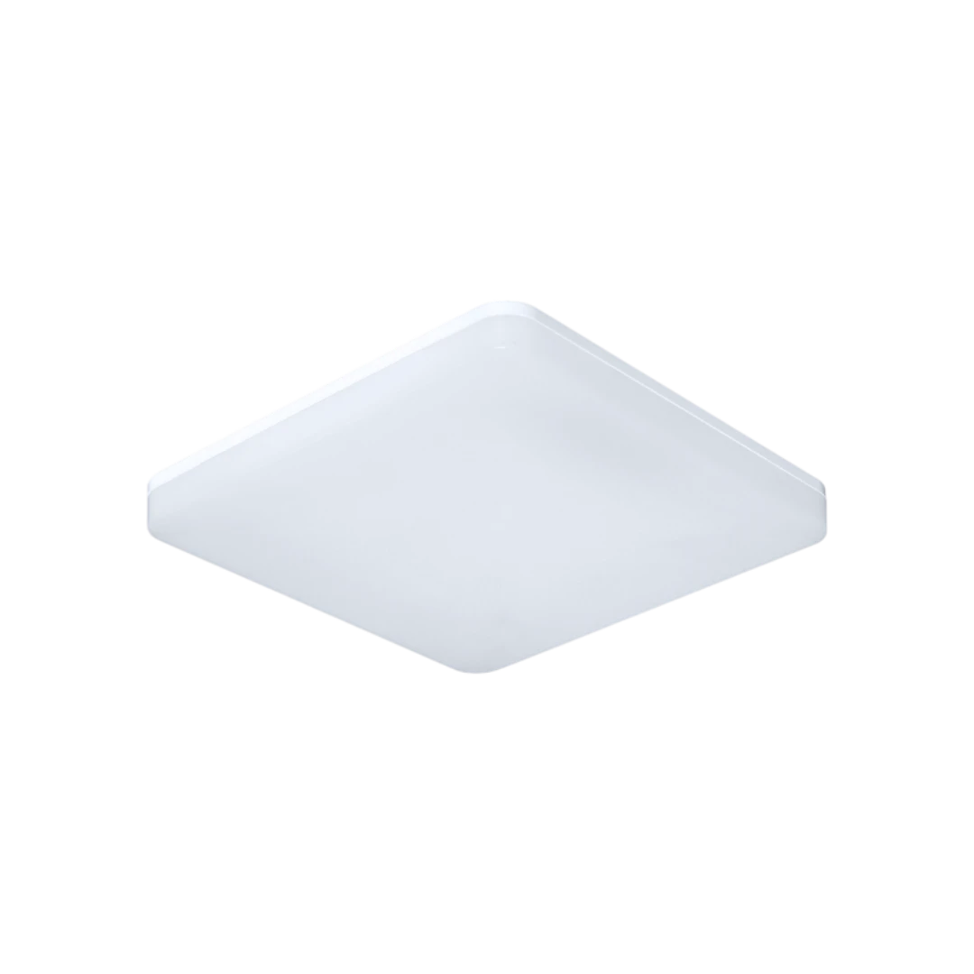 LIFE-SS-50W-CC
