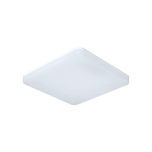LIFE-SS-50W-CC