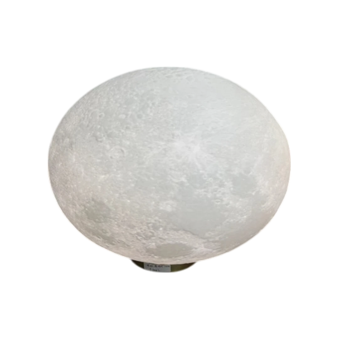 MOON-3D-D40FLOOR