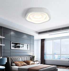 CHANGEABLE/DIMMABLE CEILING LIGHT