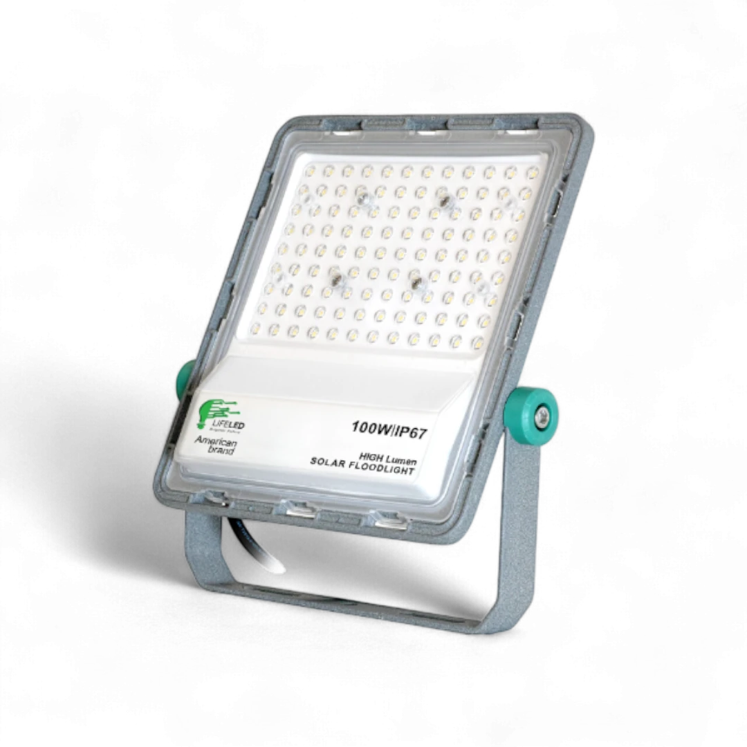 SF02-100W-WW