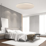 MOON STYLE CHANGEABLE/DIMMABLE CEILING LIGHT 55080